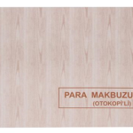 Dilman Para Makbuzu 2/50 2 Nüsha 4013