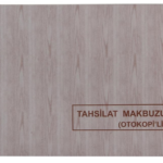 Dilman Tahsilat Makbuzu 2/50 2 Nüsha 4015