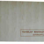 Dilman Tahsilat Makbuzu 2/50 3 Nüsha 4021