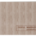 Dilman Tediye Makbuzu 2/50 2 Nüsha 4017