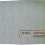 Dilman Tediye Makbuzu 2/50 3 Nüsha 4025