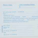 Dilman Senet Dolar 100 Lü 2317