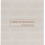 Dilman Serbest Meslek Makbuzu 2/50 3 Nüsha 4018