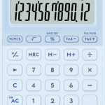 Casıo Hesap Makinesi Masaüstü Ms-20yc-lb-w-dp